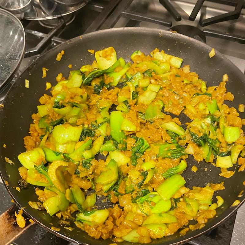 Keto Vegan Indian Curry Recipe with Bok Choy
